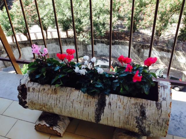 סלרנו Chiavi Antiche B&B חדר תמונה