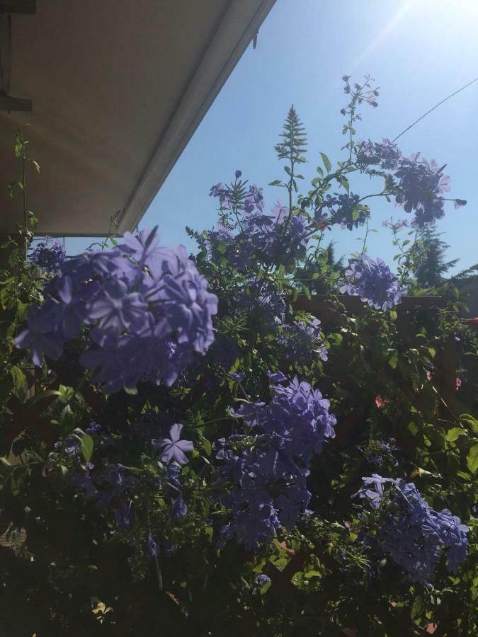 סלרנו Chiavi Antiche B&B מראה חיצוני תמונה